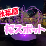 春到来!秋葉原で桜を楽しむ(花見スポット)