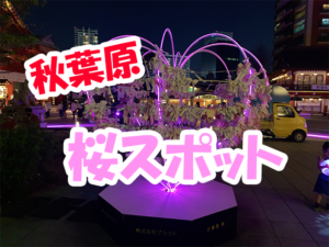 春到来!秋葉原で桜を楽しむ(花見スポット)